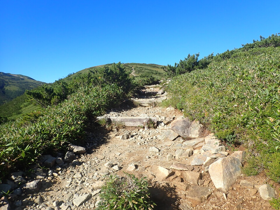 P8283306_mid.jpg