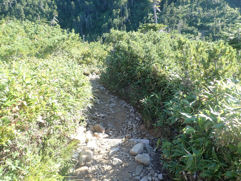 P8283307_mid.jpg