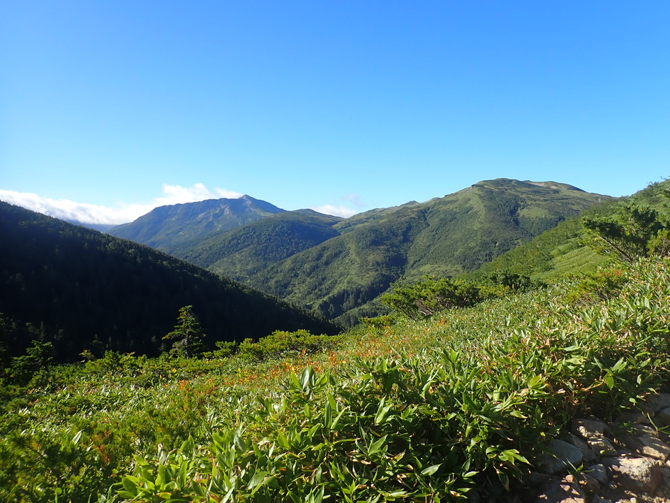 P8283309_mid.jpg