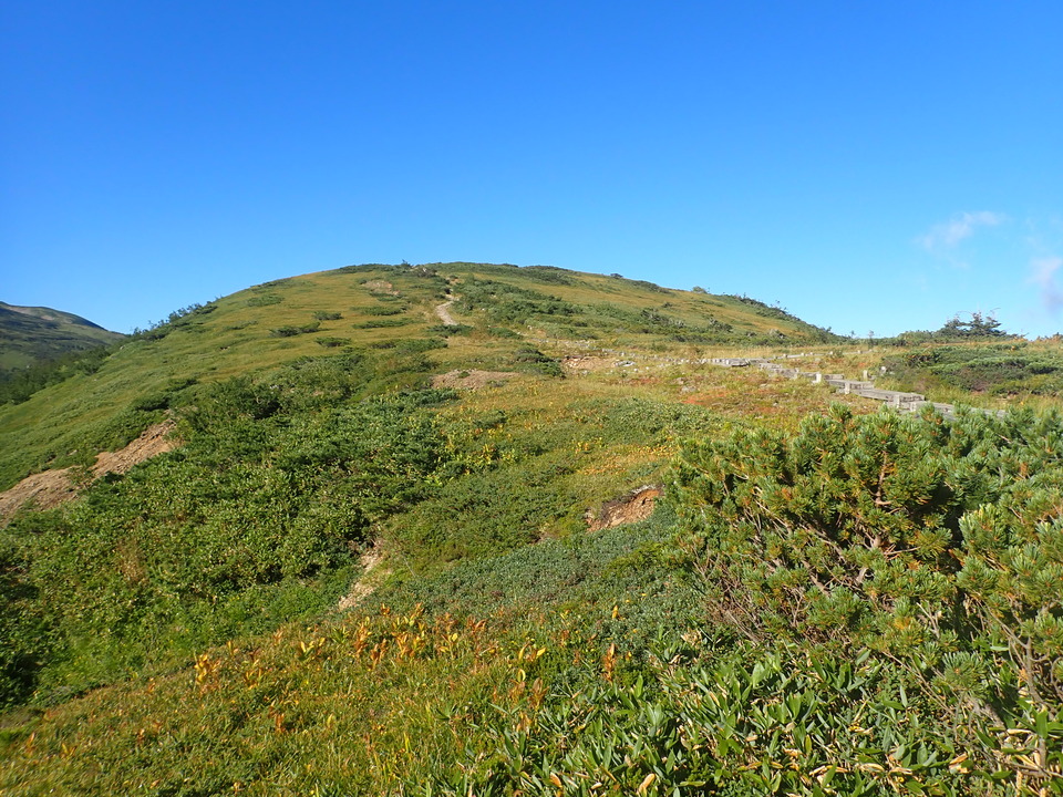 P8283313_mid.jpg