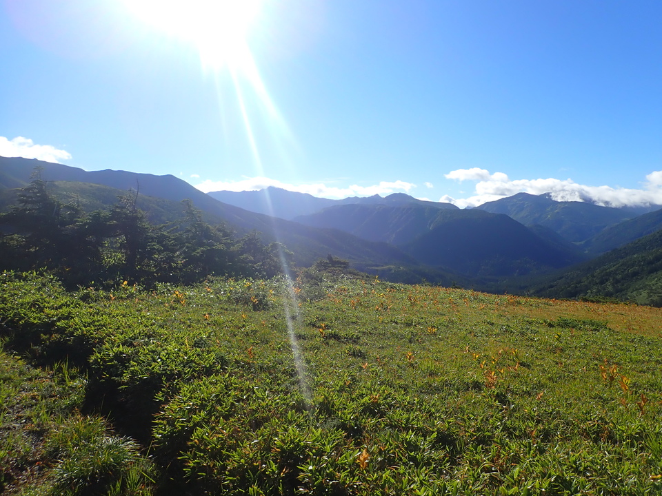 P8283322_mid.jpg