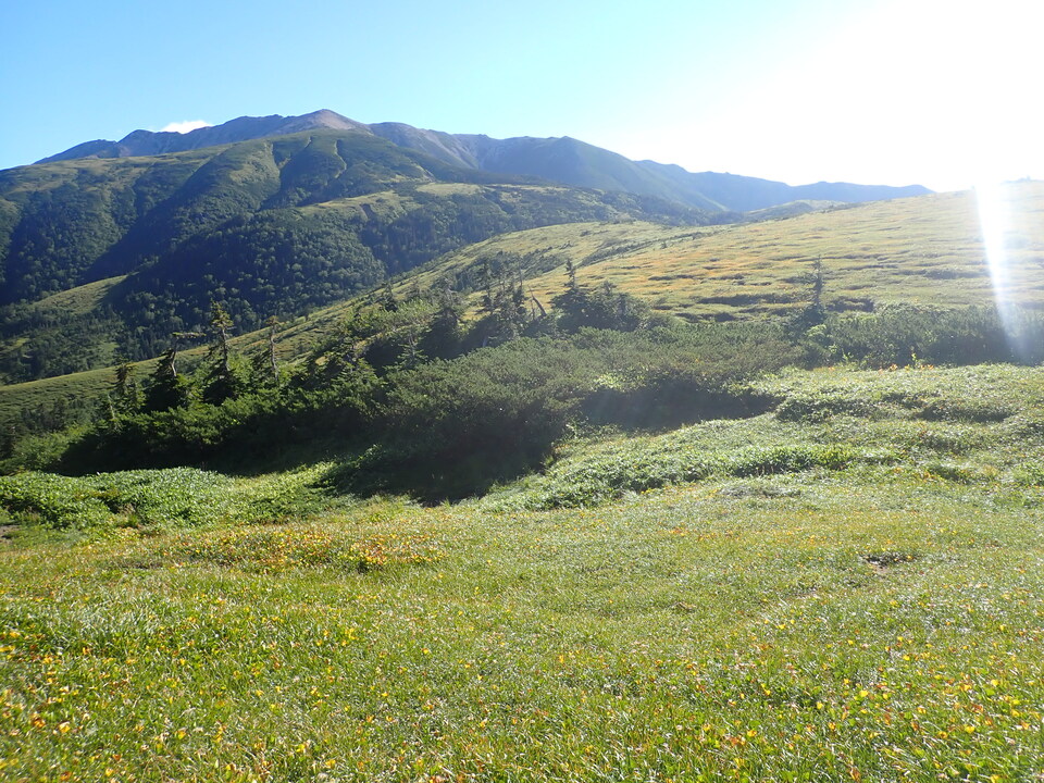 P8283330_mid.jpg