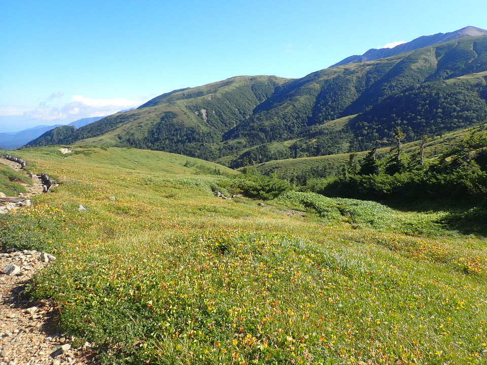 P8283331_mid.jpg
