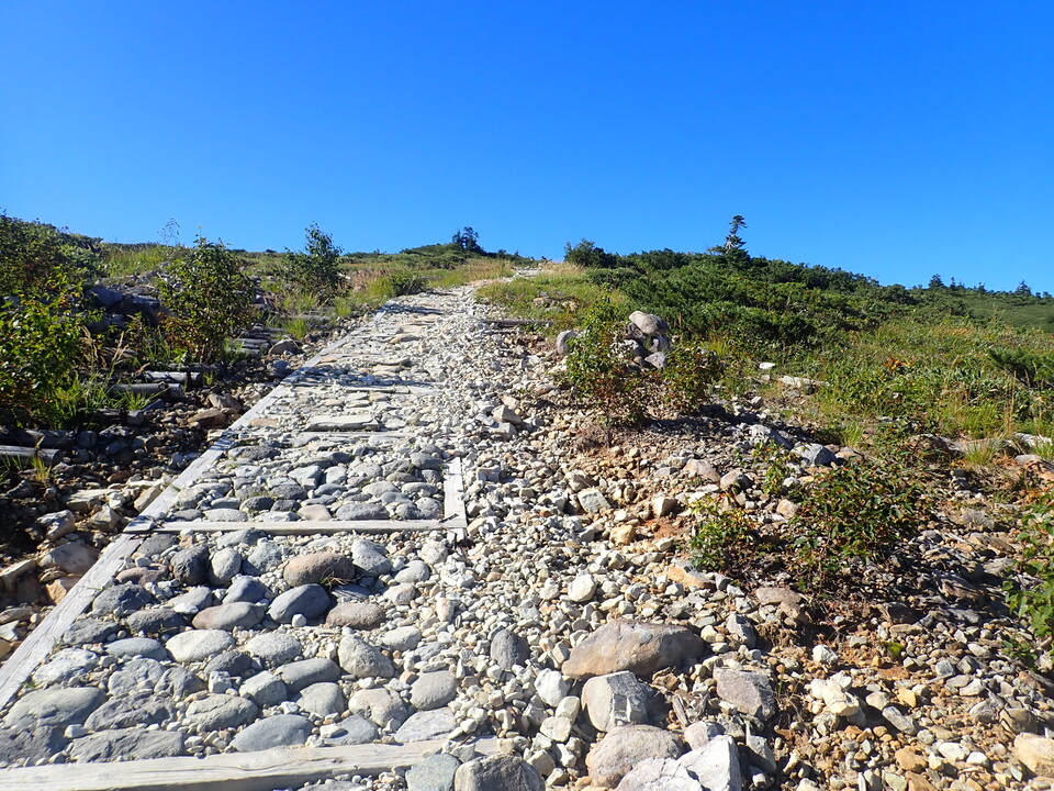 P8283337_mid.jpg