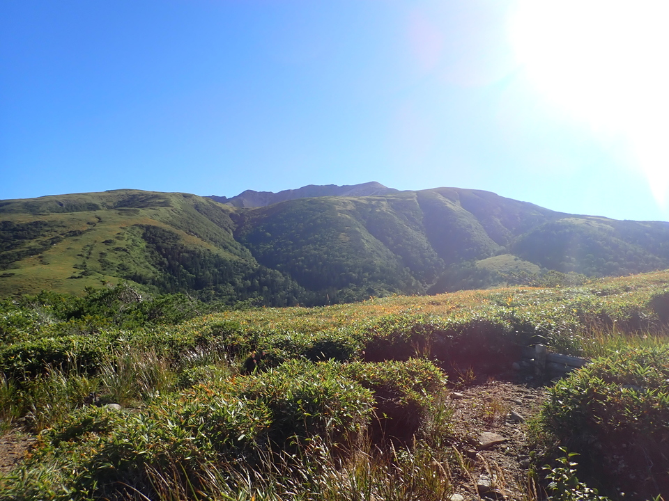 P8283339_mid.jpg