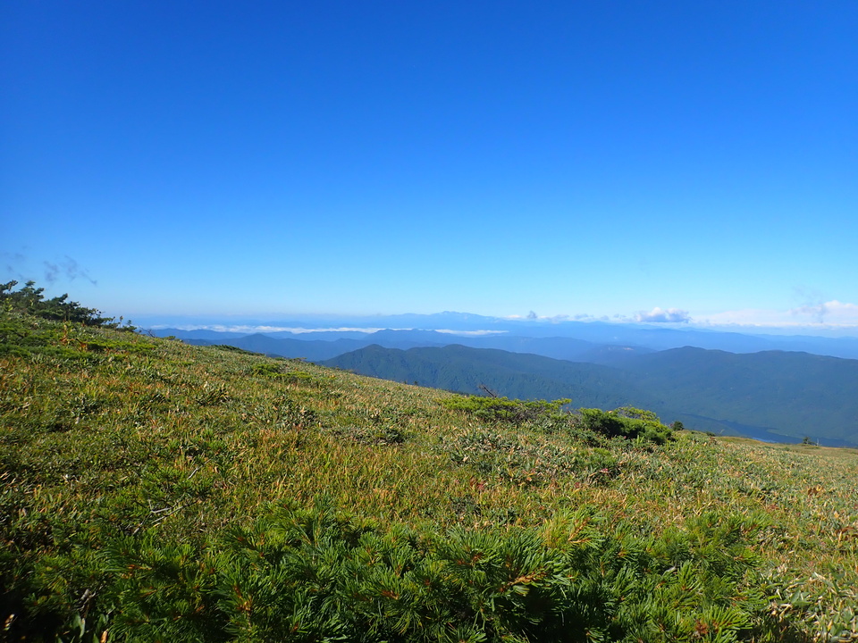 P8283348_mid.jpg