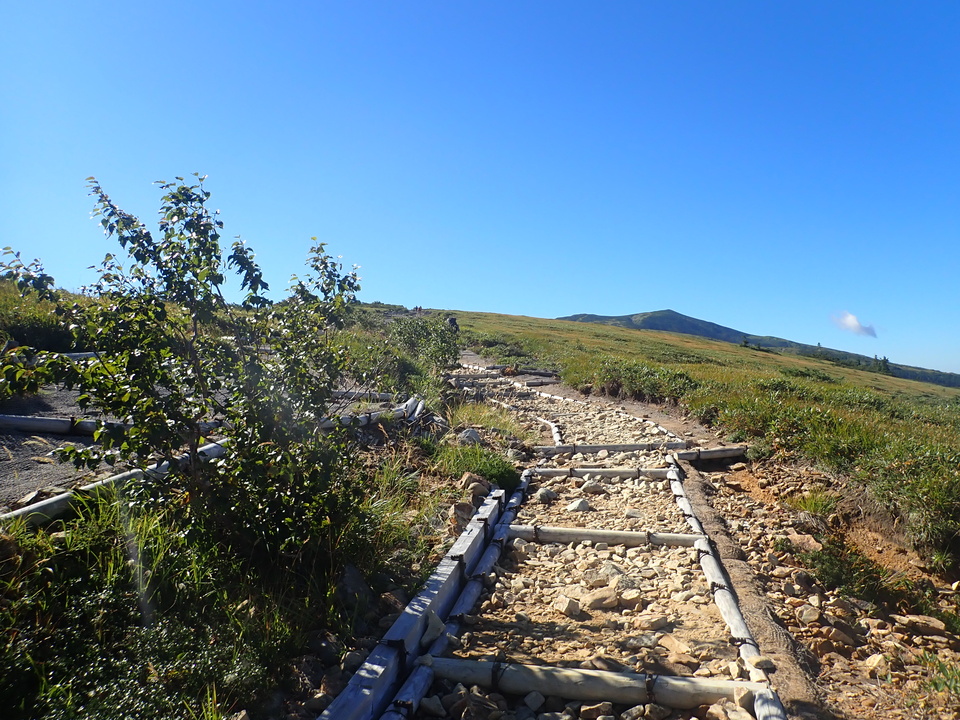 P8283355_mid.jpg