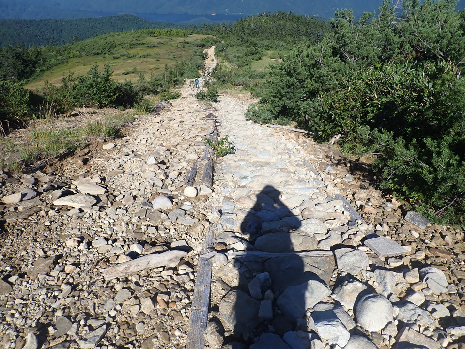 P8283359_mid.jpg