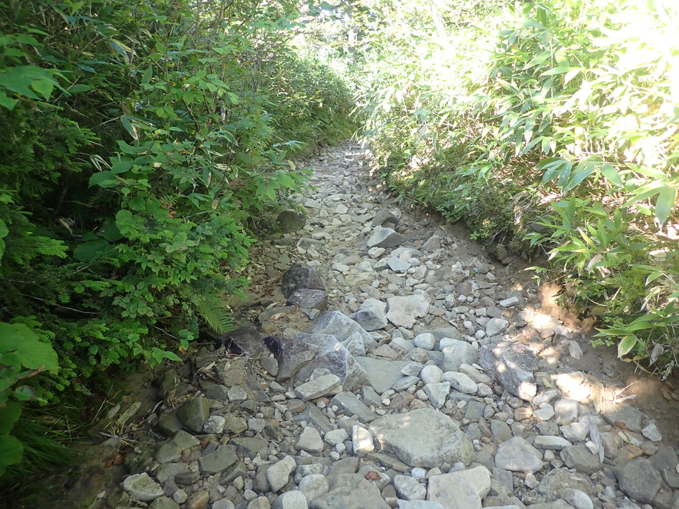 P8283364_mid.jpg
