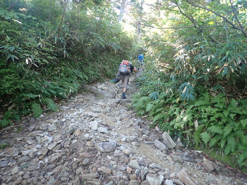 P8283370_mid.jpg