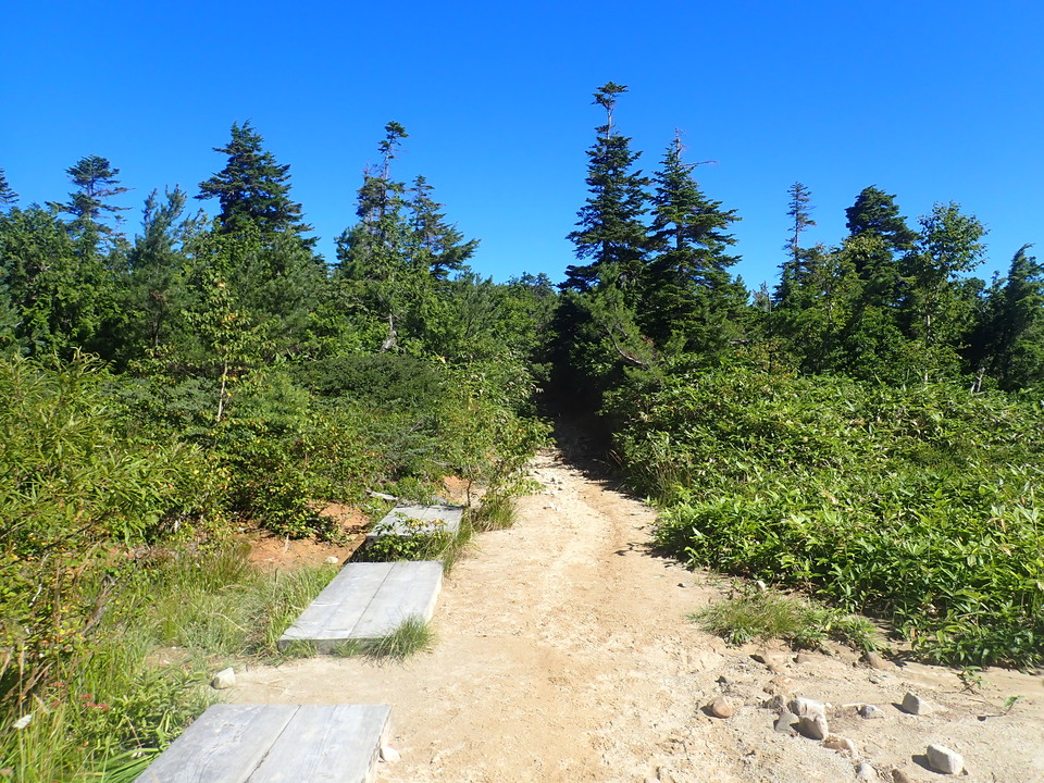 P8283372_mid.jpg