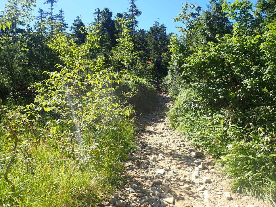 P8283373_mid.jpg