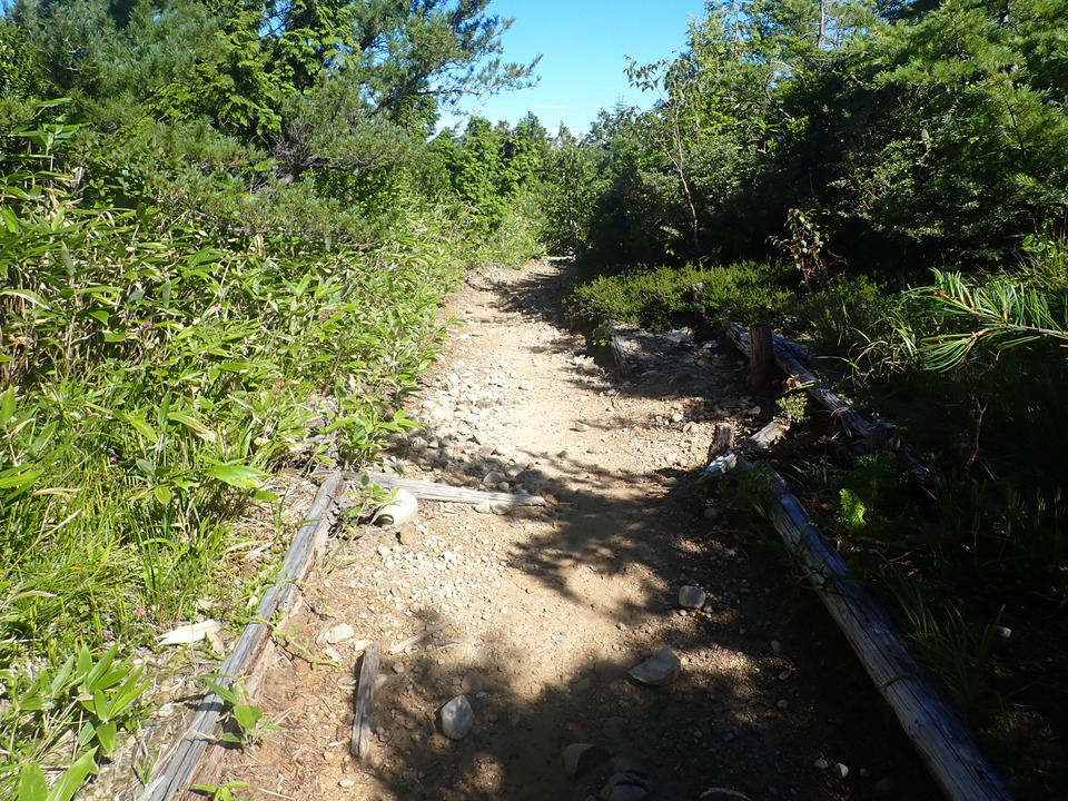 P8283376_mid.jpg