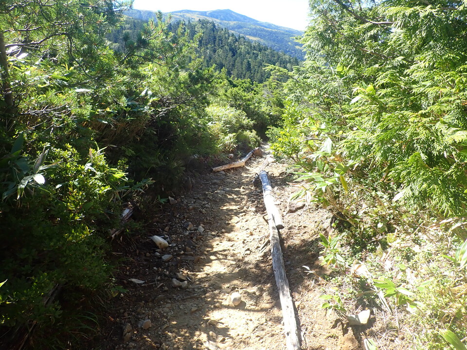 P8283377_mid.jpg