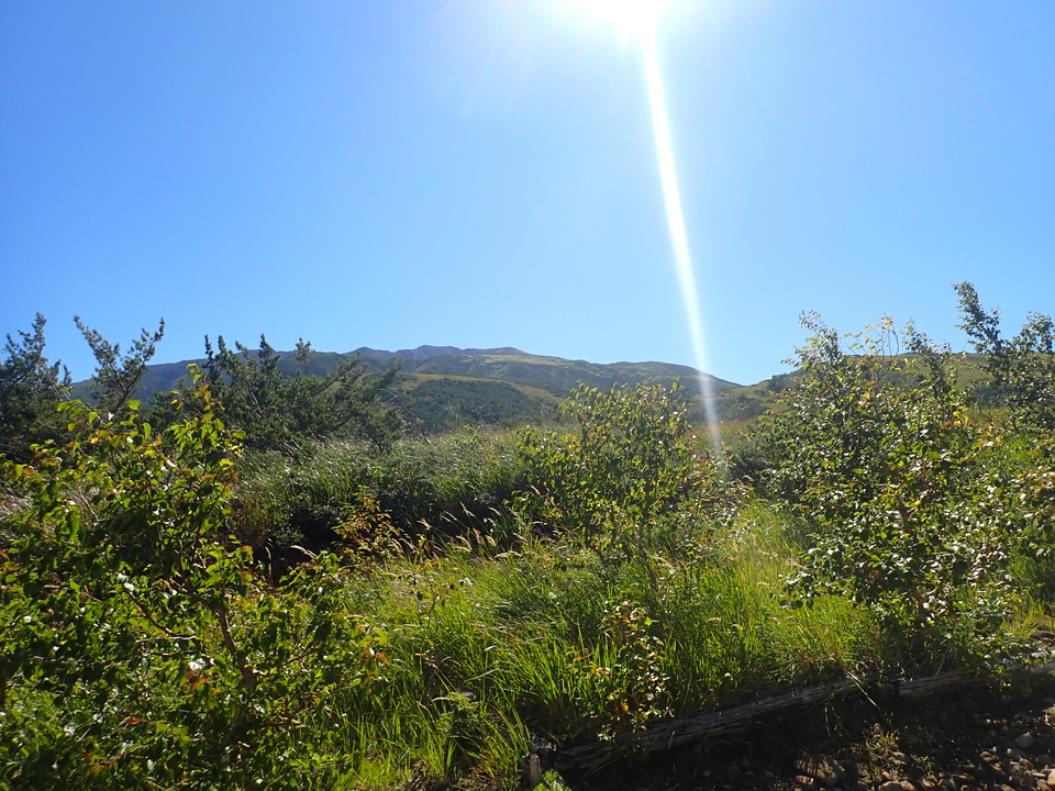 P8283384_mid.jpg