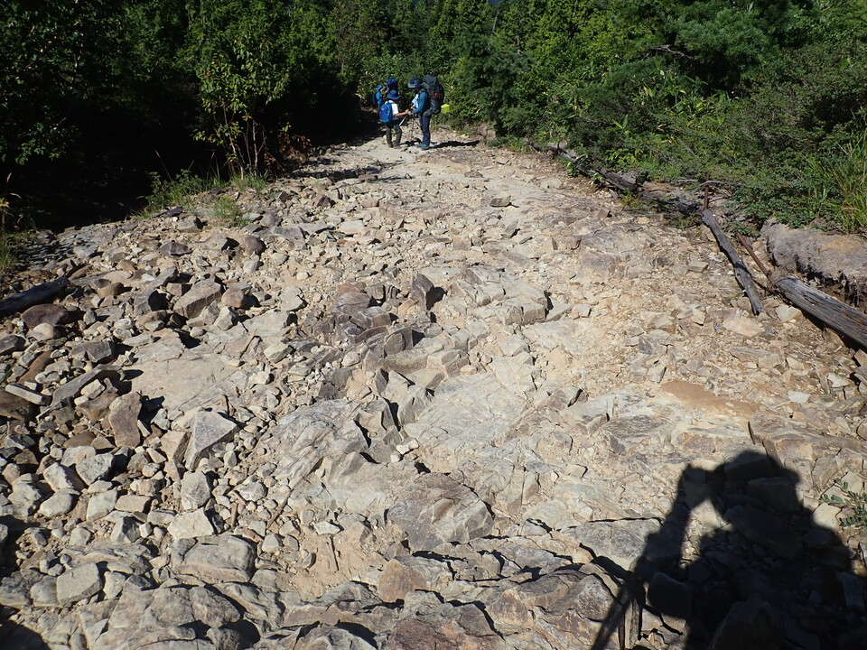 P8283387_mid.jpg