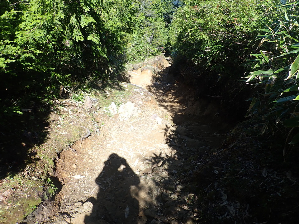 P8283394_mid.jpg
