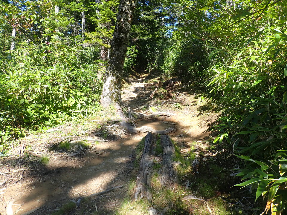 P8283398_mid.jpg