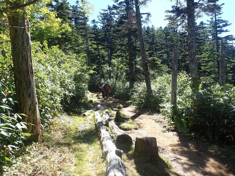 P8283399_mid.jpg