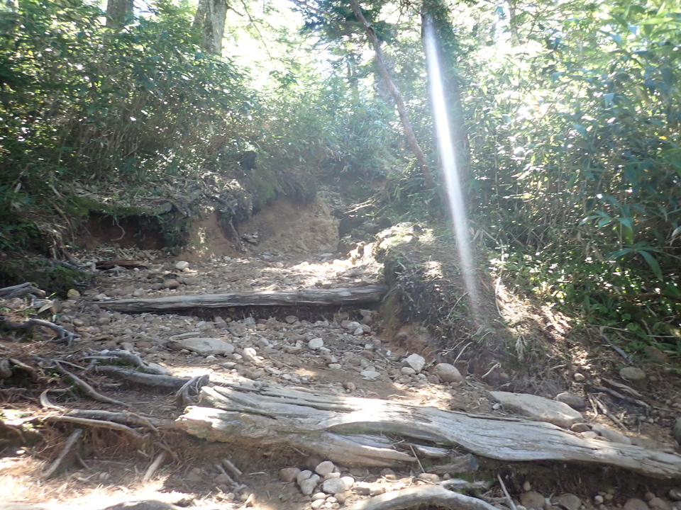 P8283401_mid.jpg