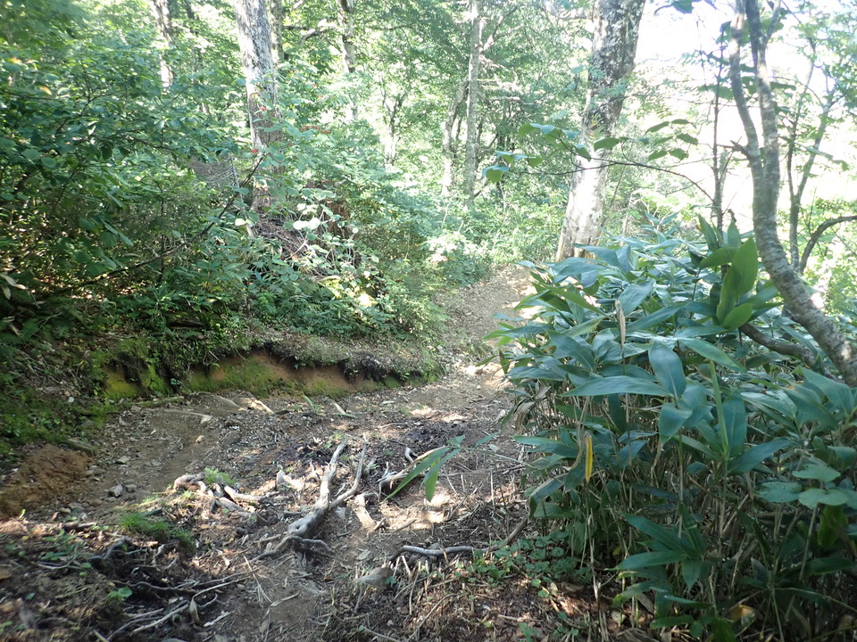 P8283405_mid.jpg