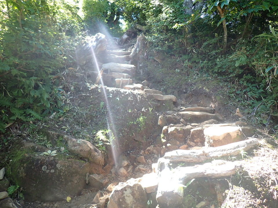 P8283407_mid.jpg
