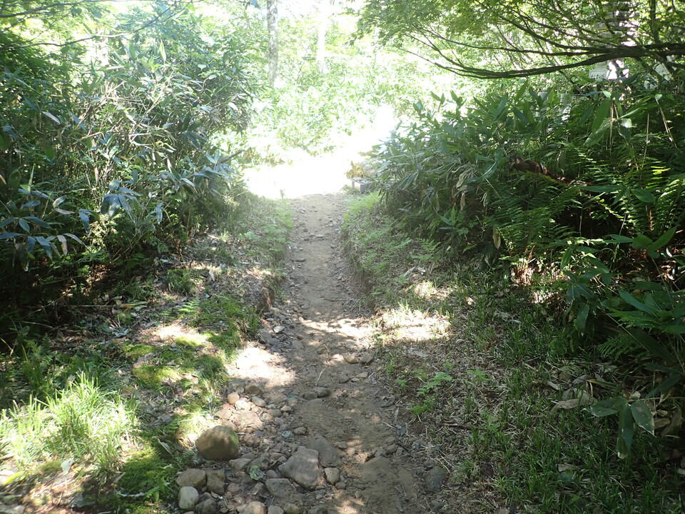 P8283408_mid.jpg