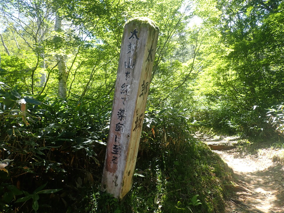 P8283414_mid.jpg