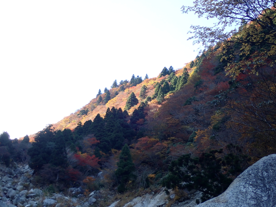 PB035838_mid.jpg