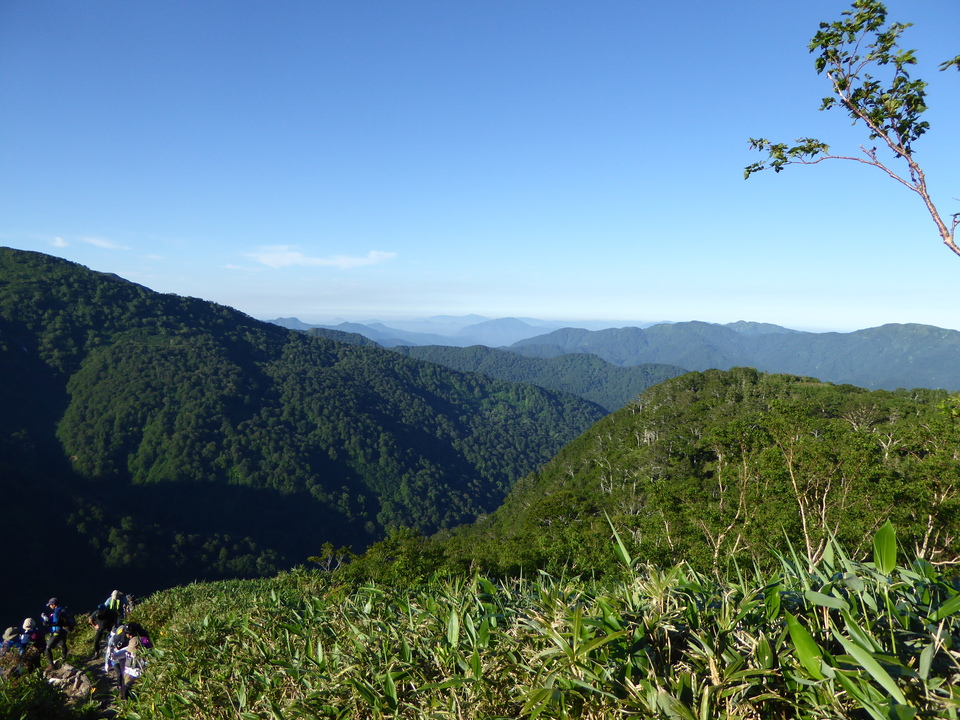 P1030996_mid.jpg