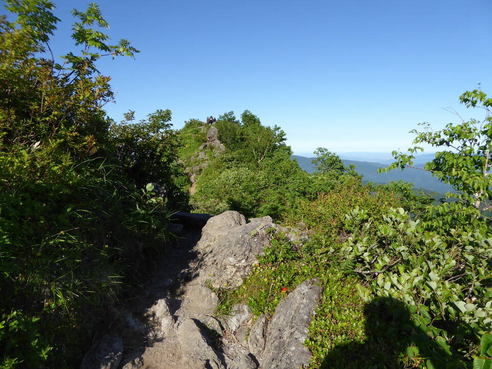 P1040079_mid.jpg