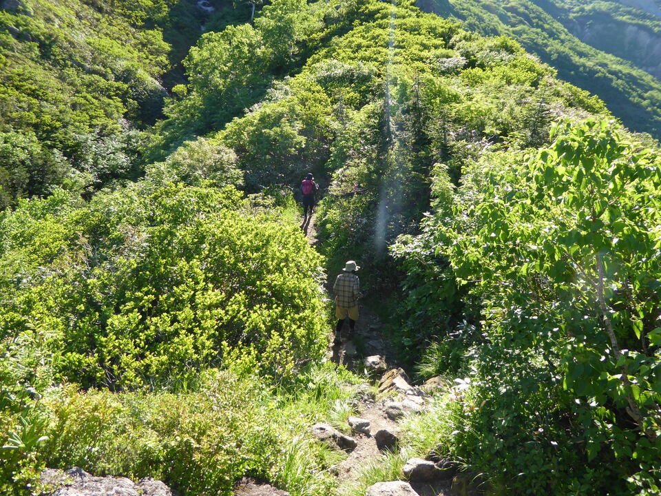 P1040081_mid.jpg