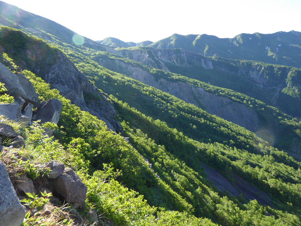 P1040084_mid.jpg