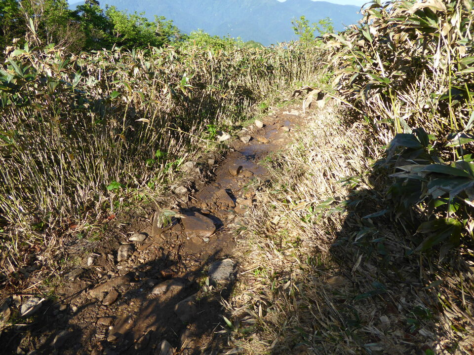 P1040108_mid.jpg