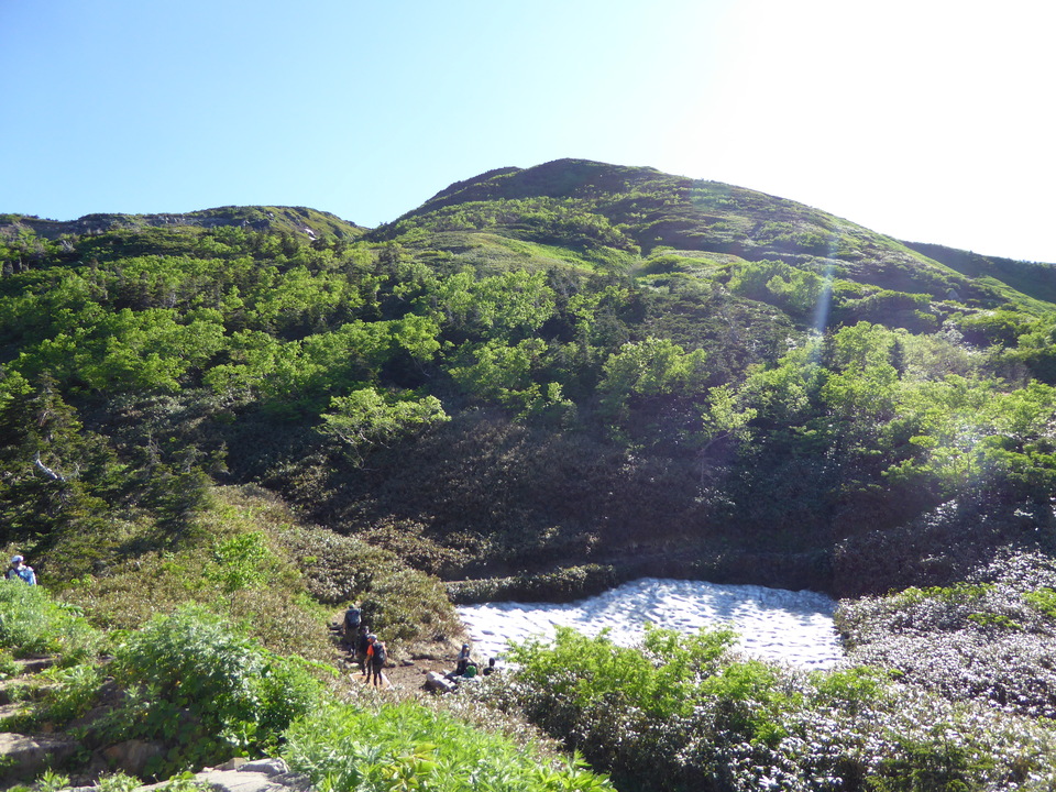 P1040125_mid.jpg