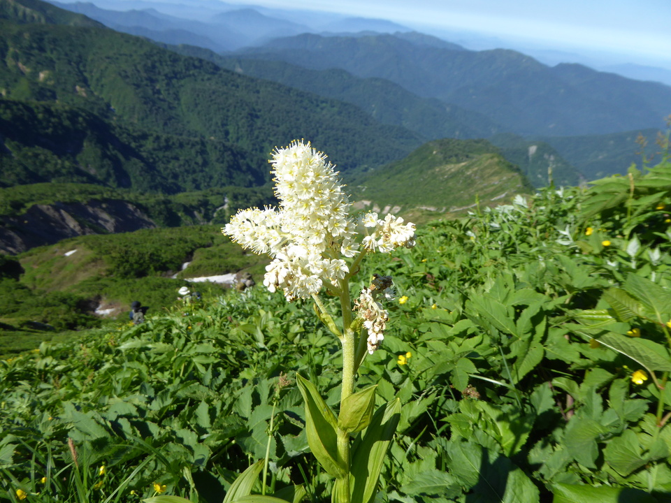 P1040192_mid.jpg