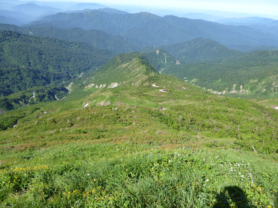 P1040241_mid.jpg