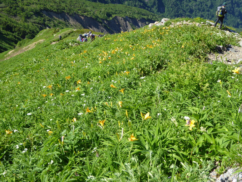 P1040243_mid.jpg