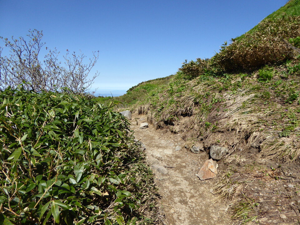 P1040273_mid.jpg