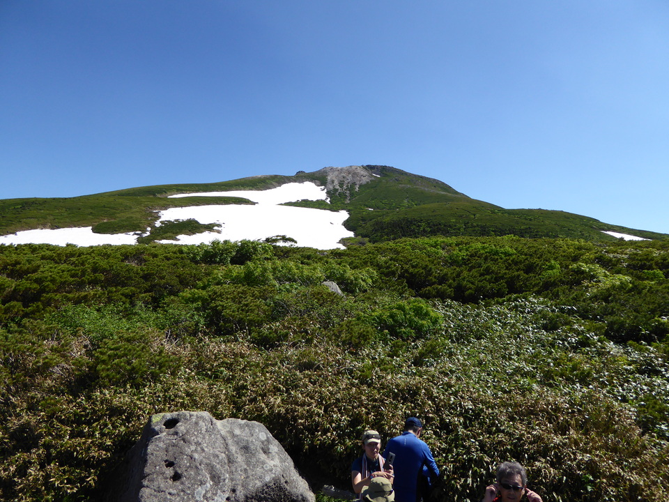 P1040295_mid.jpg