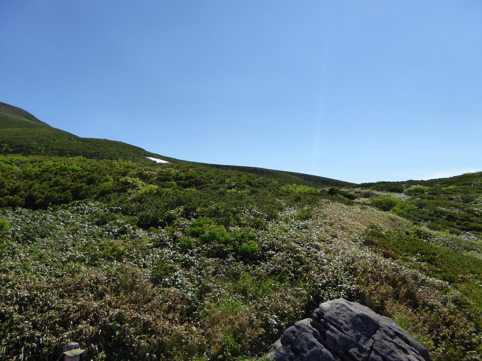 P1040296_mid.jpg