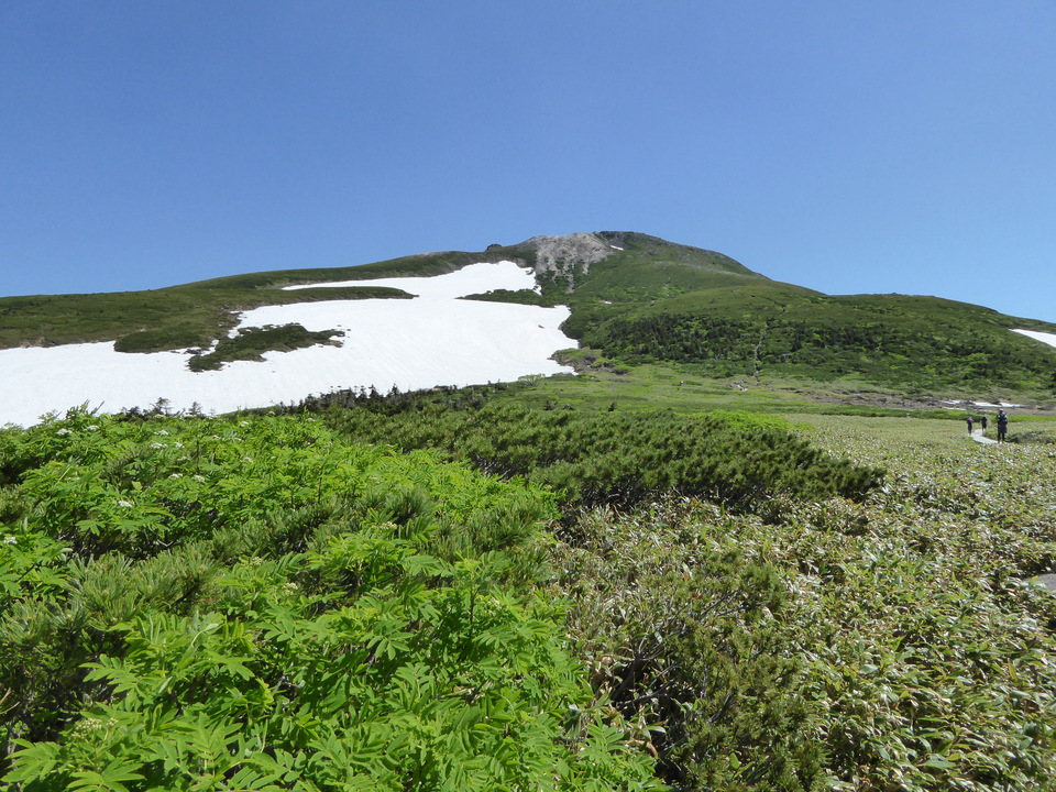 P1040318_mid.jpg