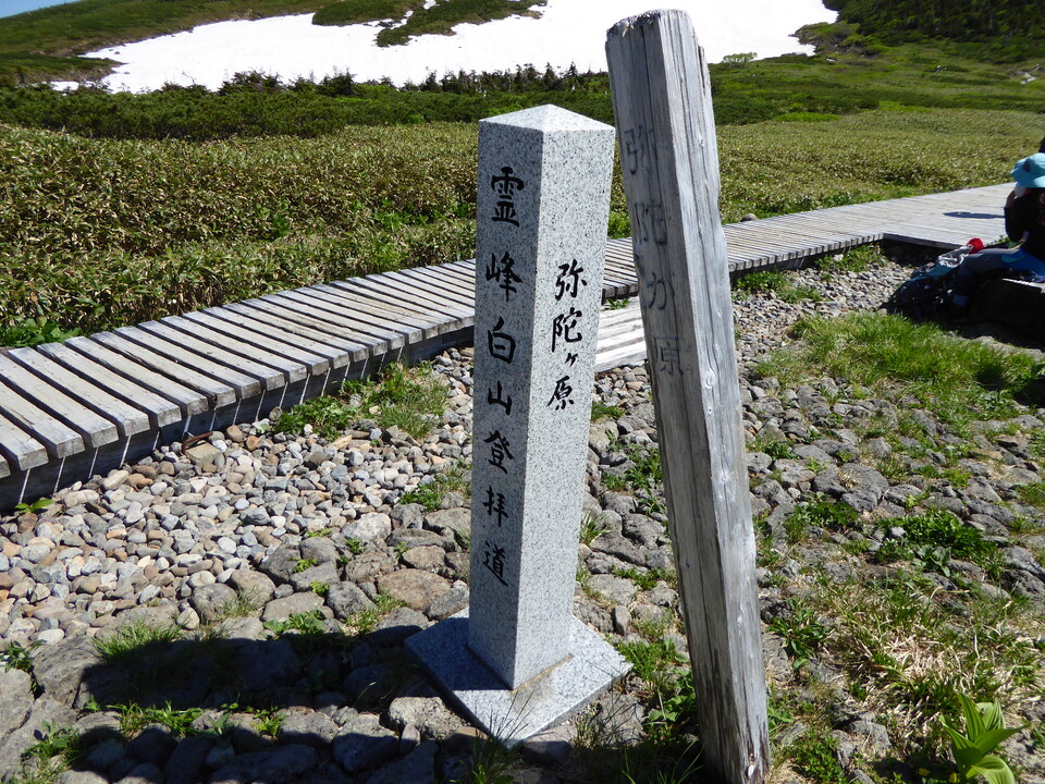 P1040322_mid.jpg