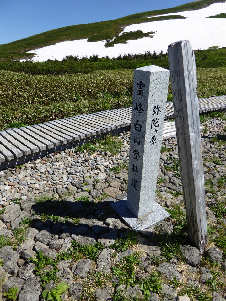 P1040323_mid.jpg