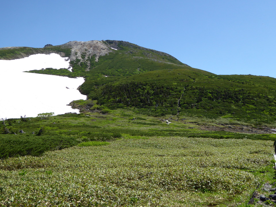 P1040325_mid.jpg