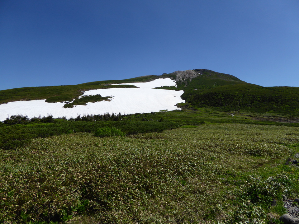 P1040326_mid.jpg