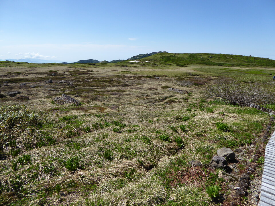 P1040329_mid.jpg
