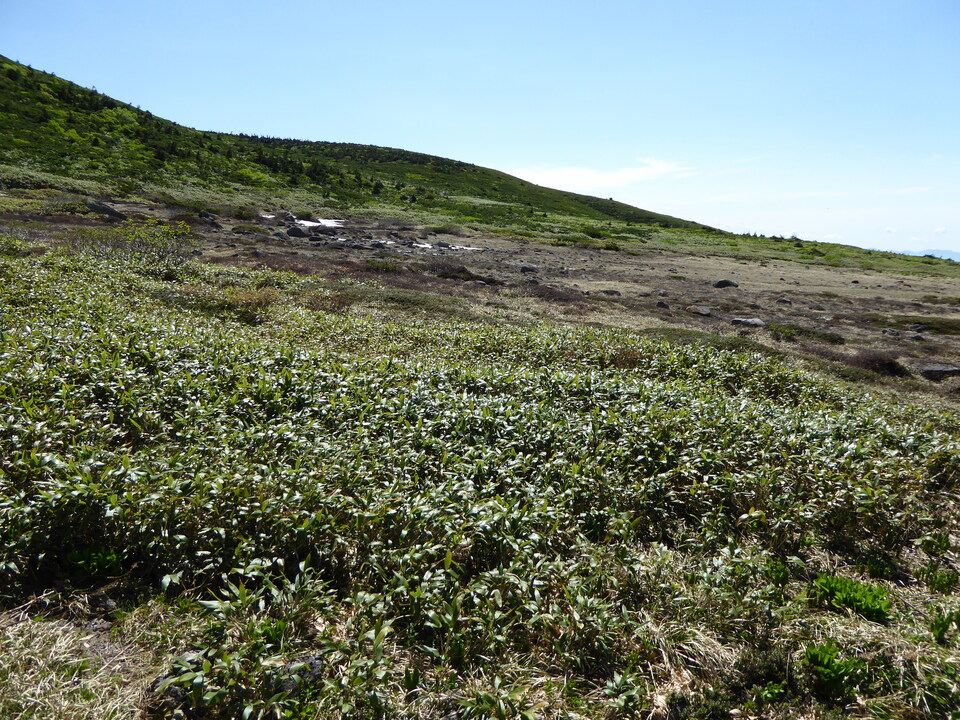 P1040330_mid.jpg