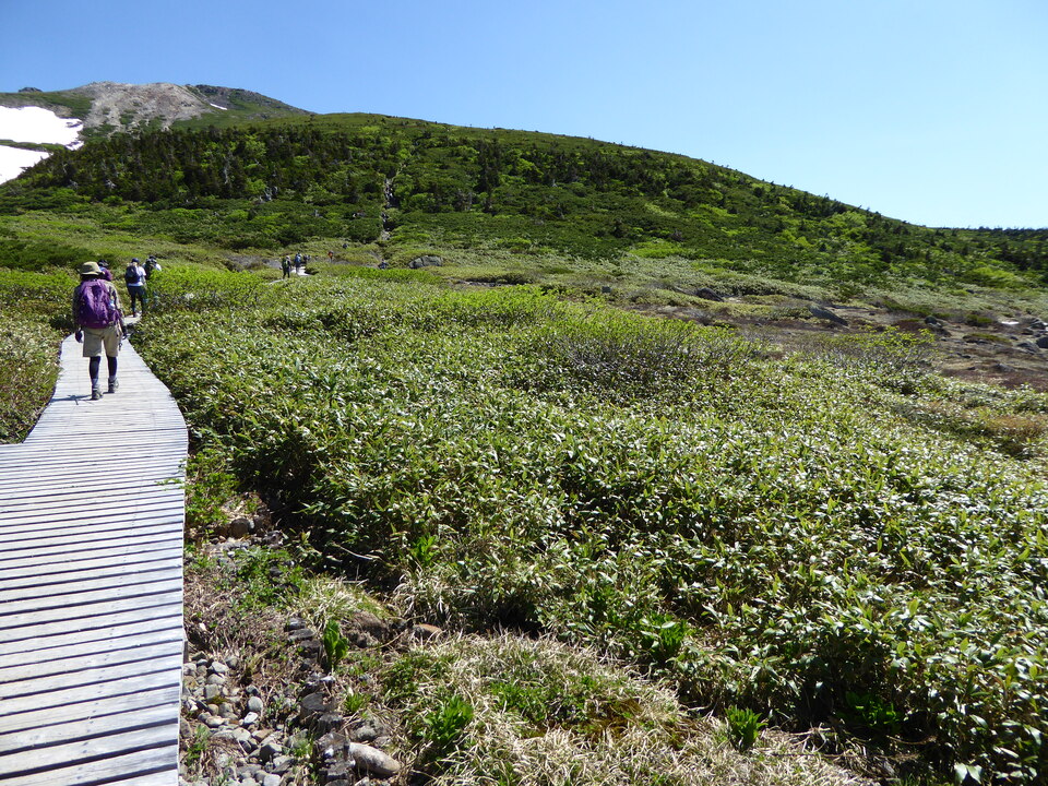 P1040331_mid.jpg