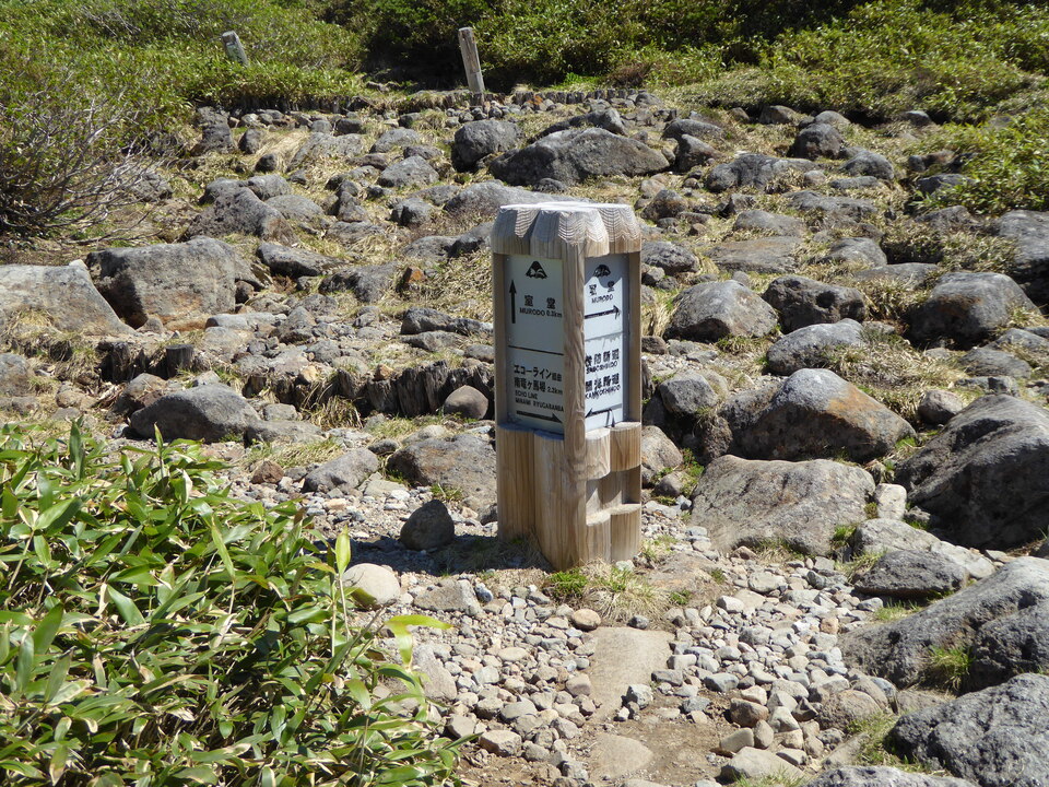P1040332_mid.jpg